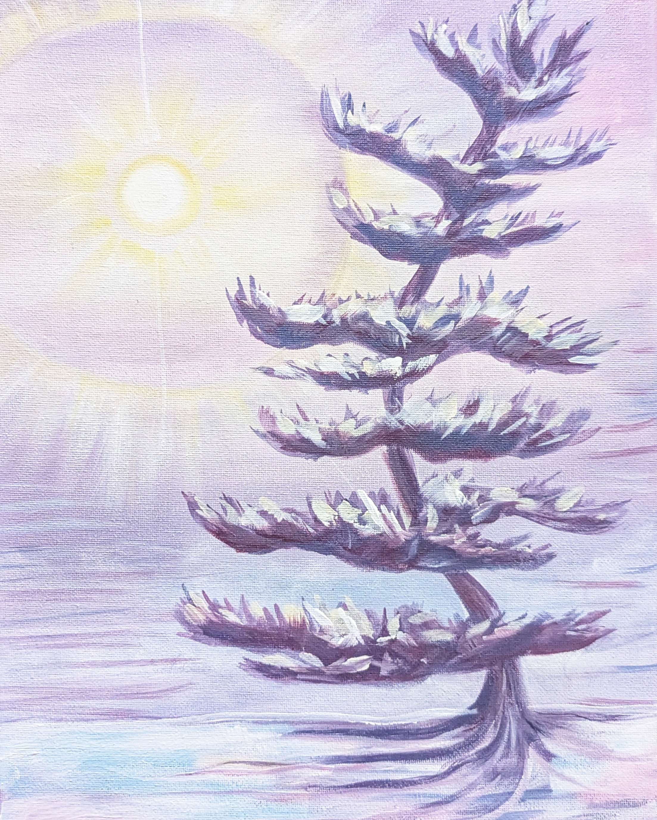"Winter White Pine" Paint Along @ The Daventry