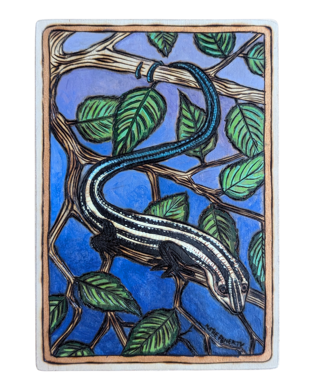 Slinky Five Lined Skink