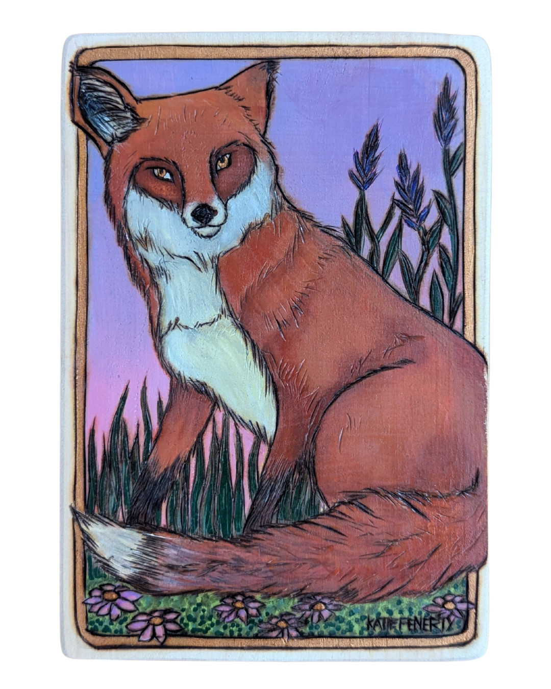 Evening Fox