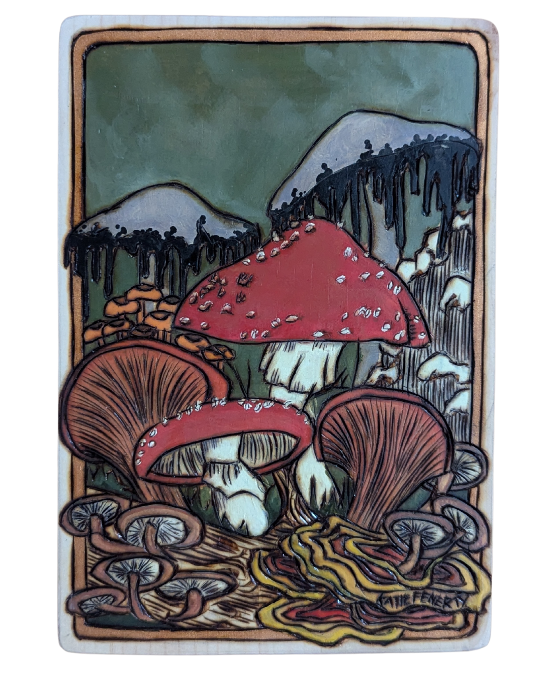 Collection of Mushrooms
