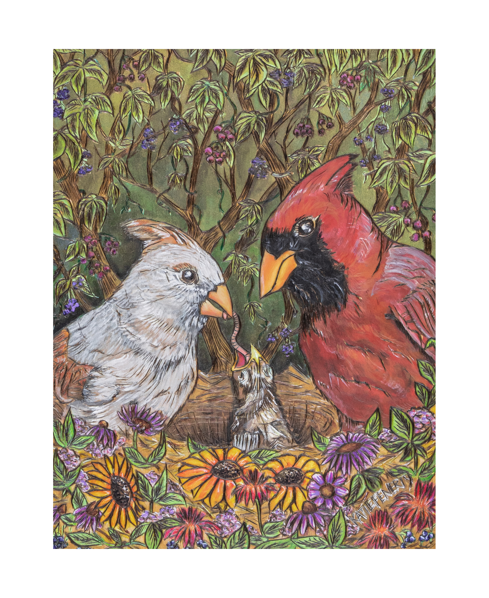 Family of Cardinals