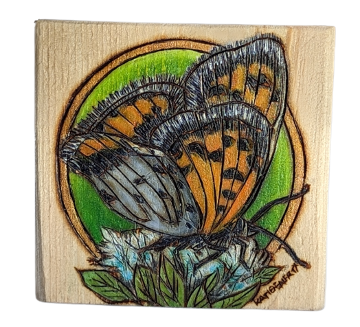 Copper Butterfly