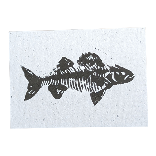 Fish Skeleton