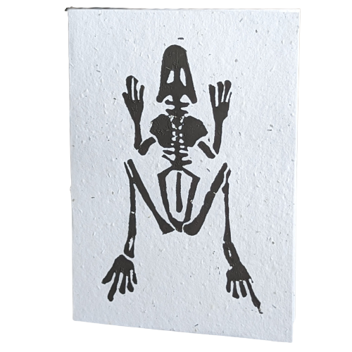 Frog Skeleton