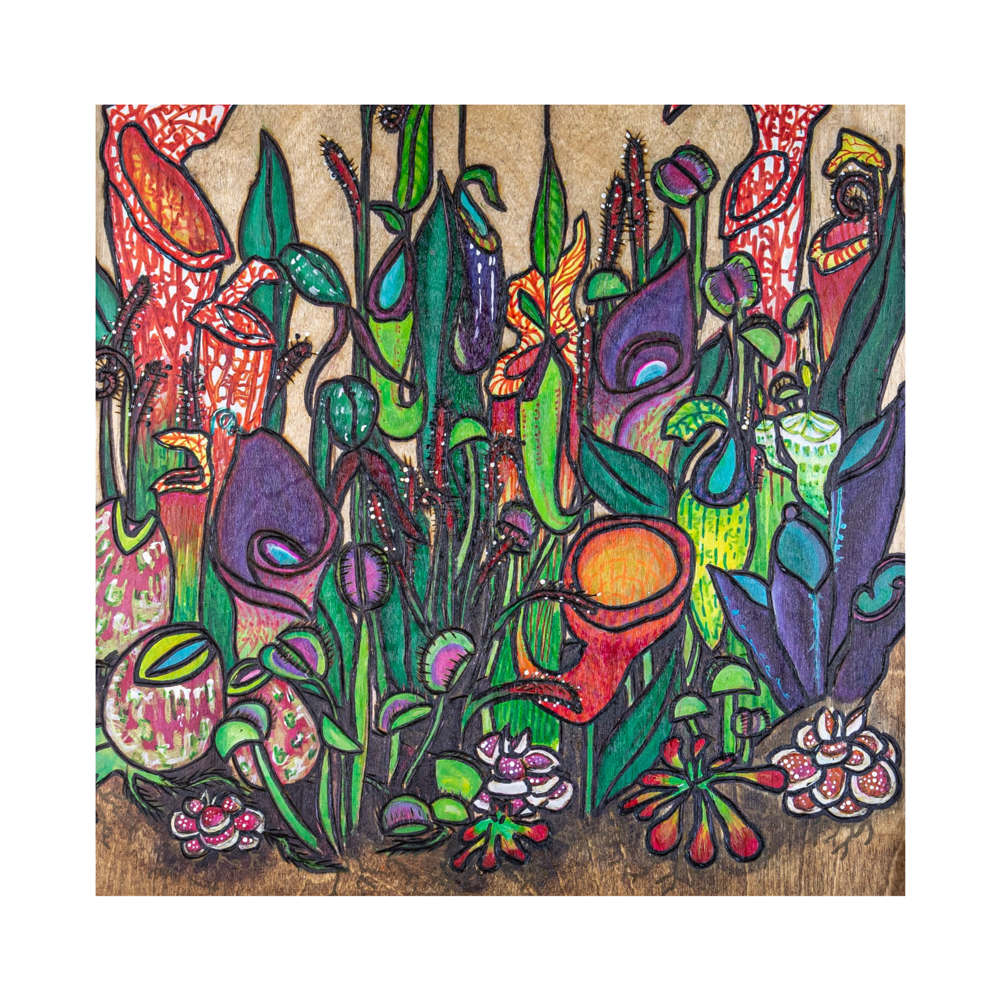 Insectivores