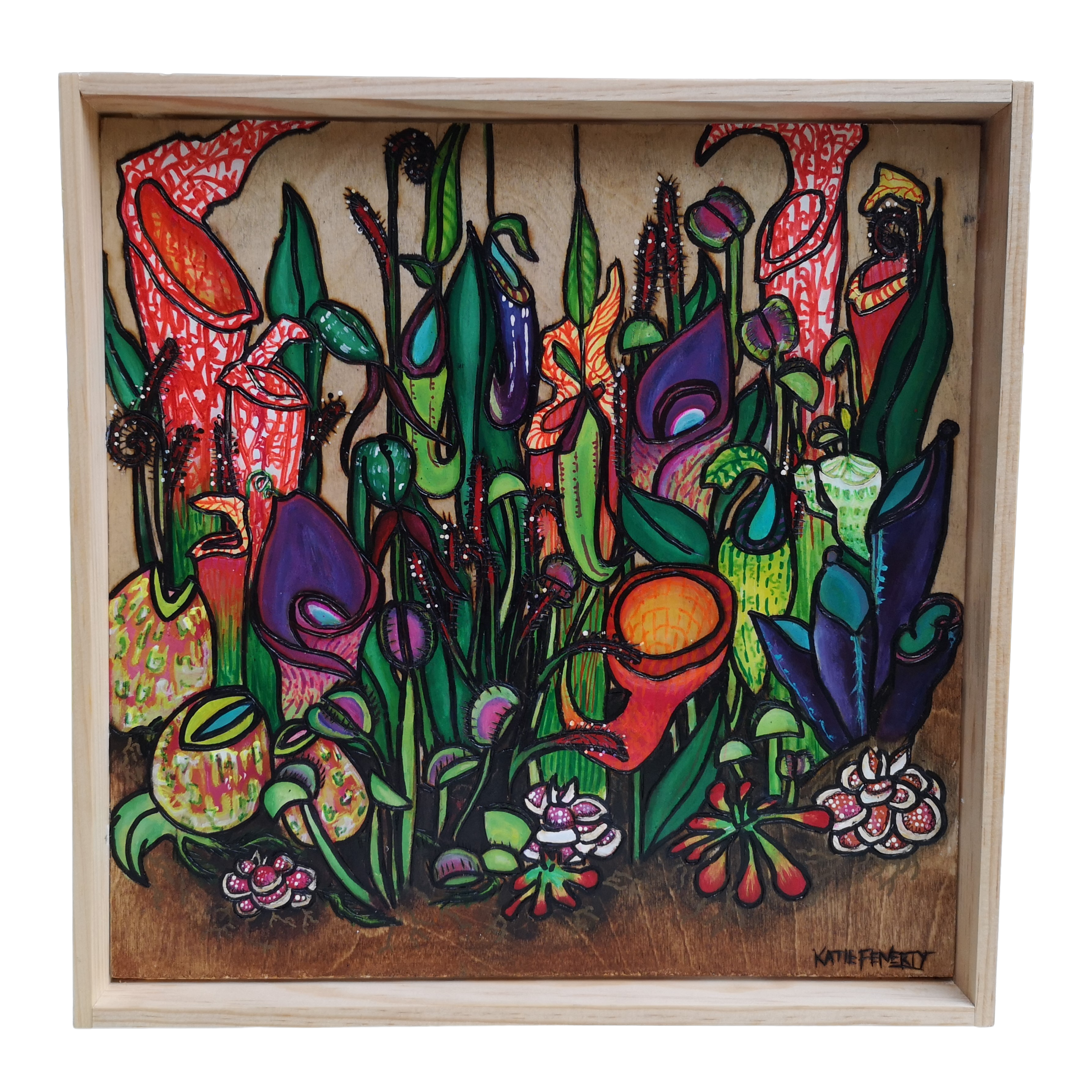 Insectivores