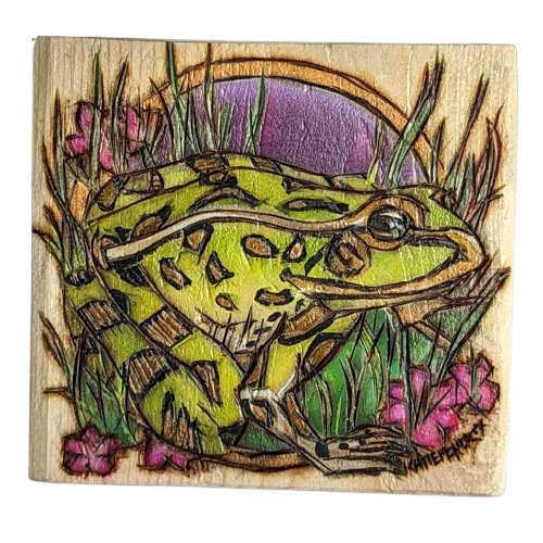 Northern Leopard Frog