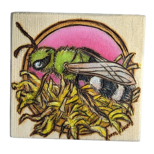 Sweat Bee