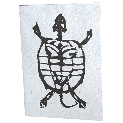 Turtle Skeleton