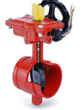 Kelebek Vana, Yiv - Yiv, Model D81X-362