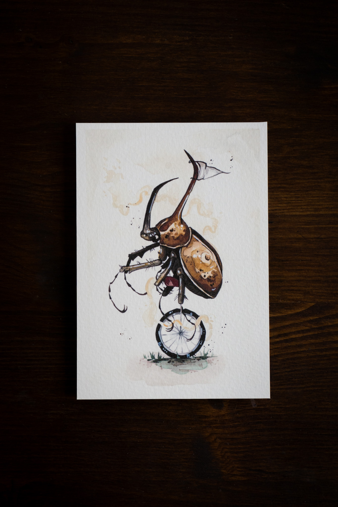 “Bugs on Bikes” 