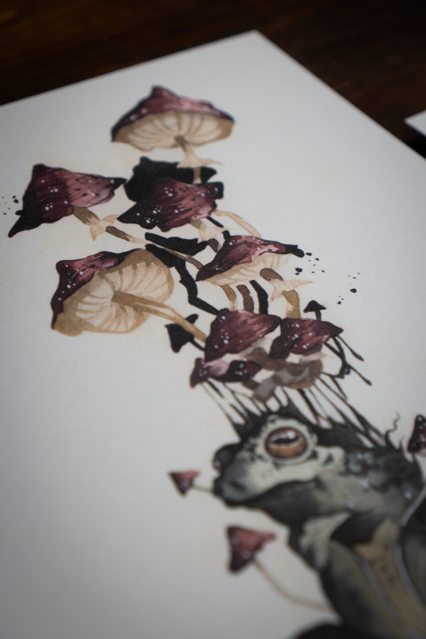 “Guardian of mushroomers” 