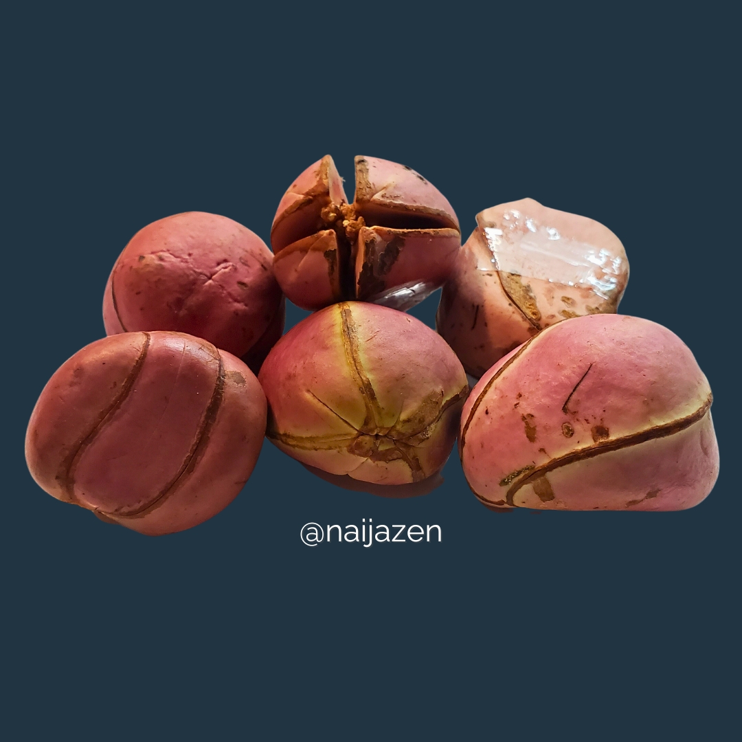 Kola Nut (Obi Abata) 4 Lobed Kolanut 