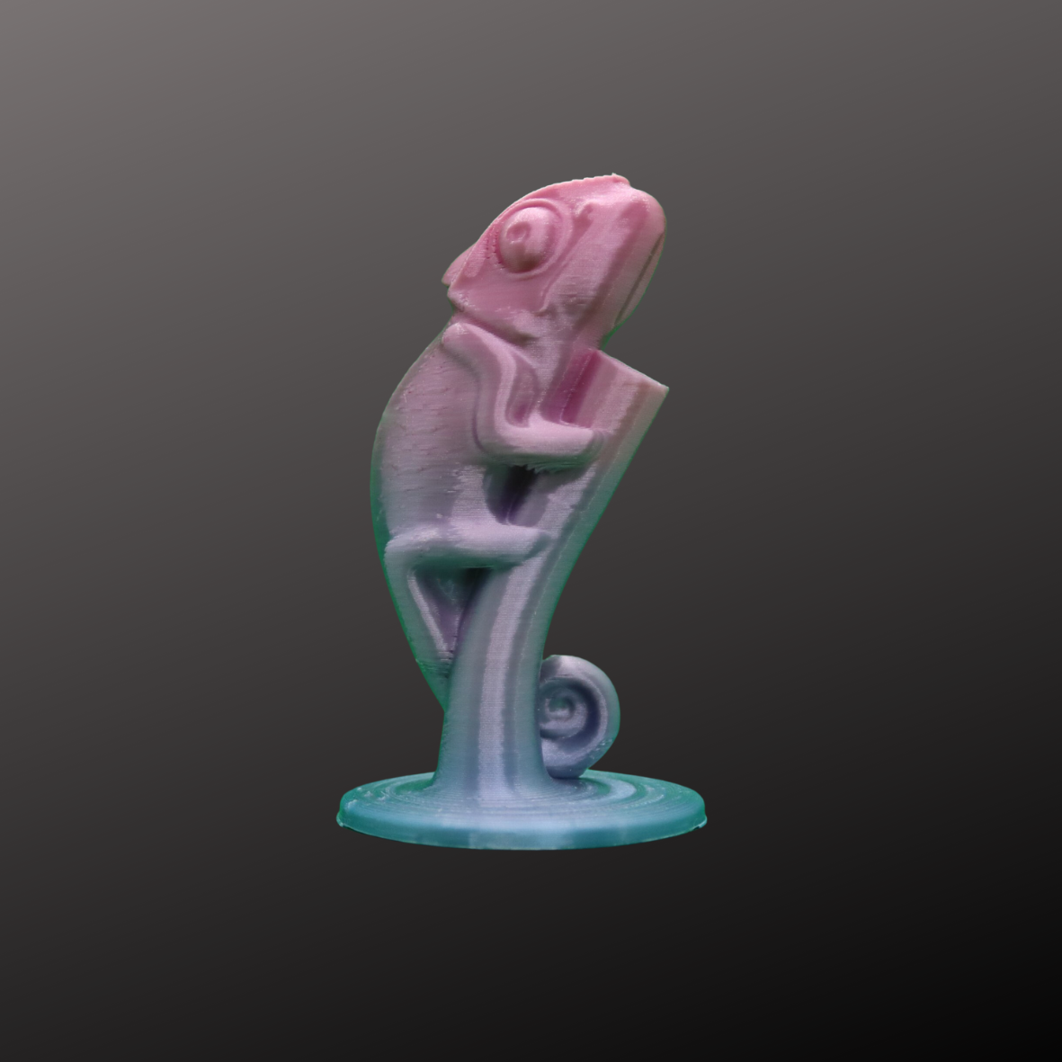 Porte crayon CAMELEON