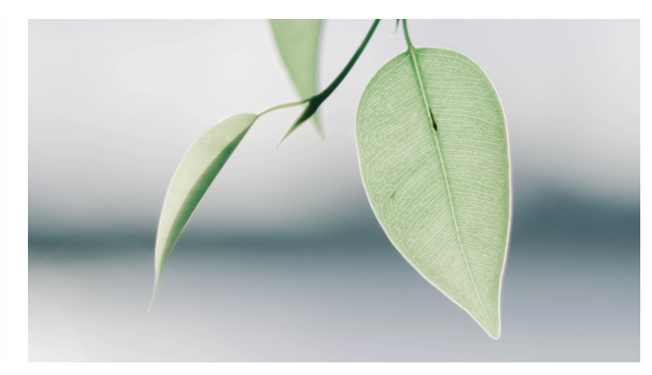 Discovery Coaching T1