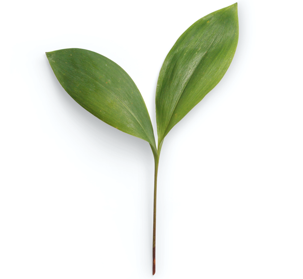 Weekly Coaching T2 Split Payment 1