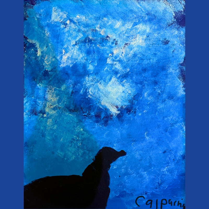 Seagull Sunroof Tote Bag