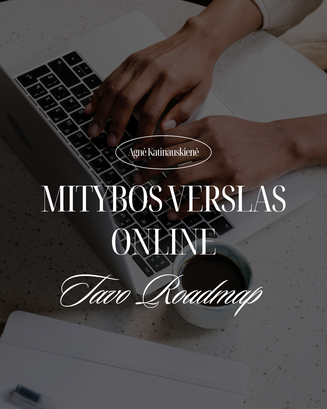 Mitybos verslo ONLINE Roadmap