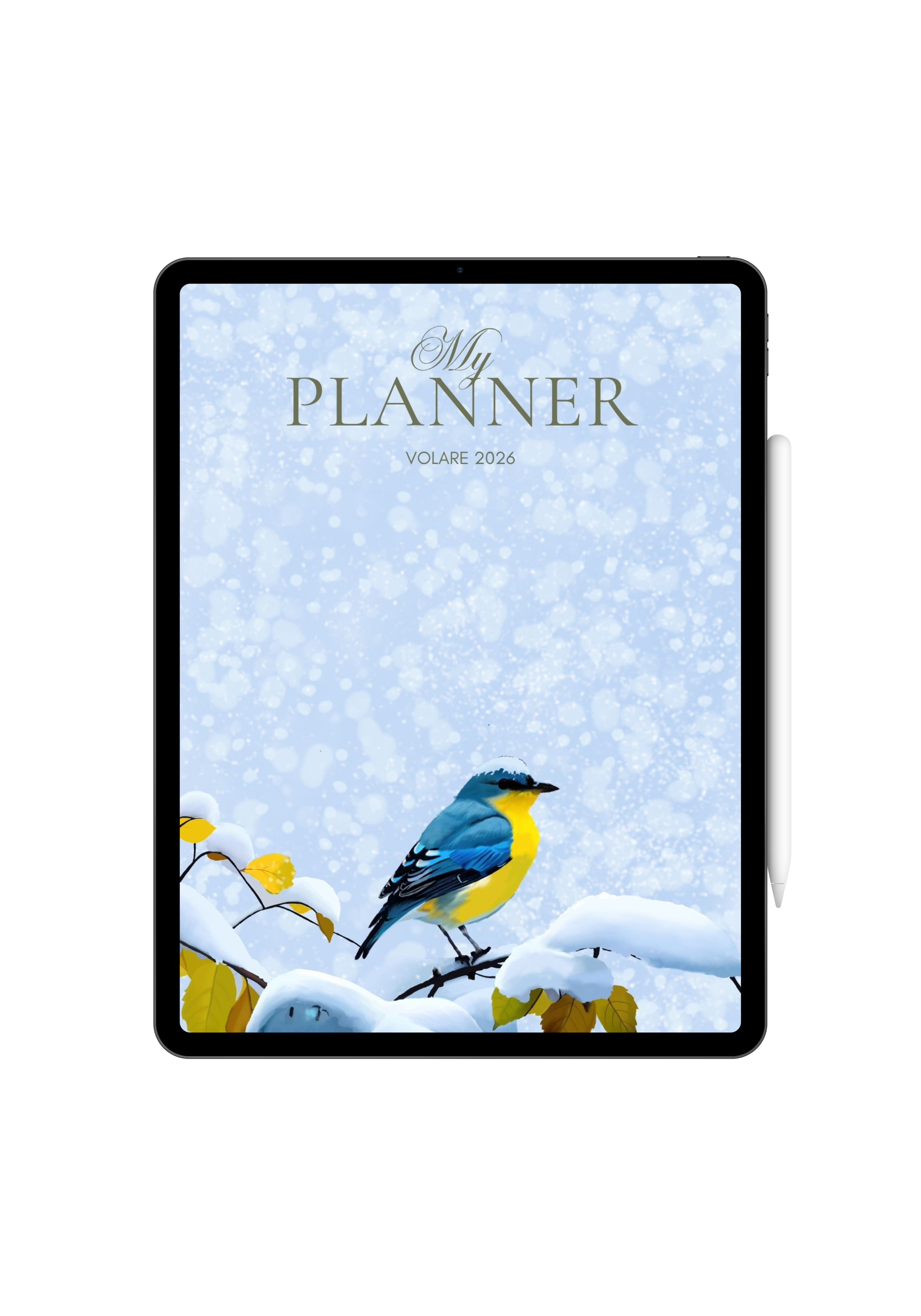 PLANNER ANUAL 2026 - COLEÇÃO VOLARE