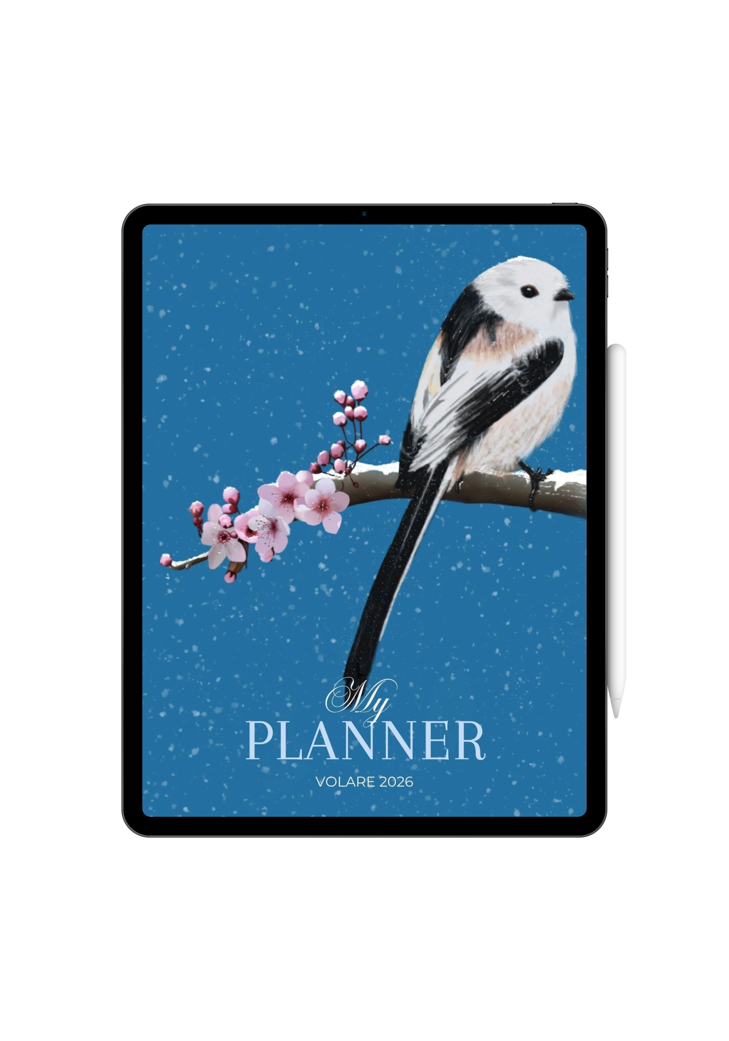 PLANNER ANUAL 2026 - COLEÇÃO VOLARE