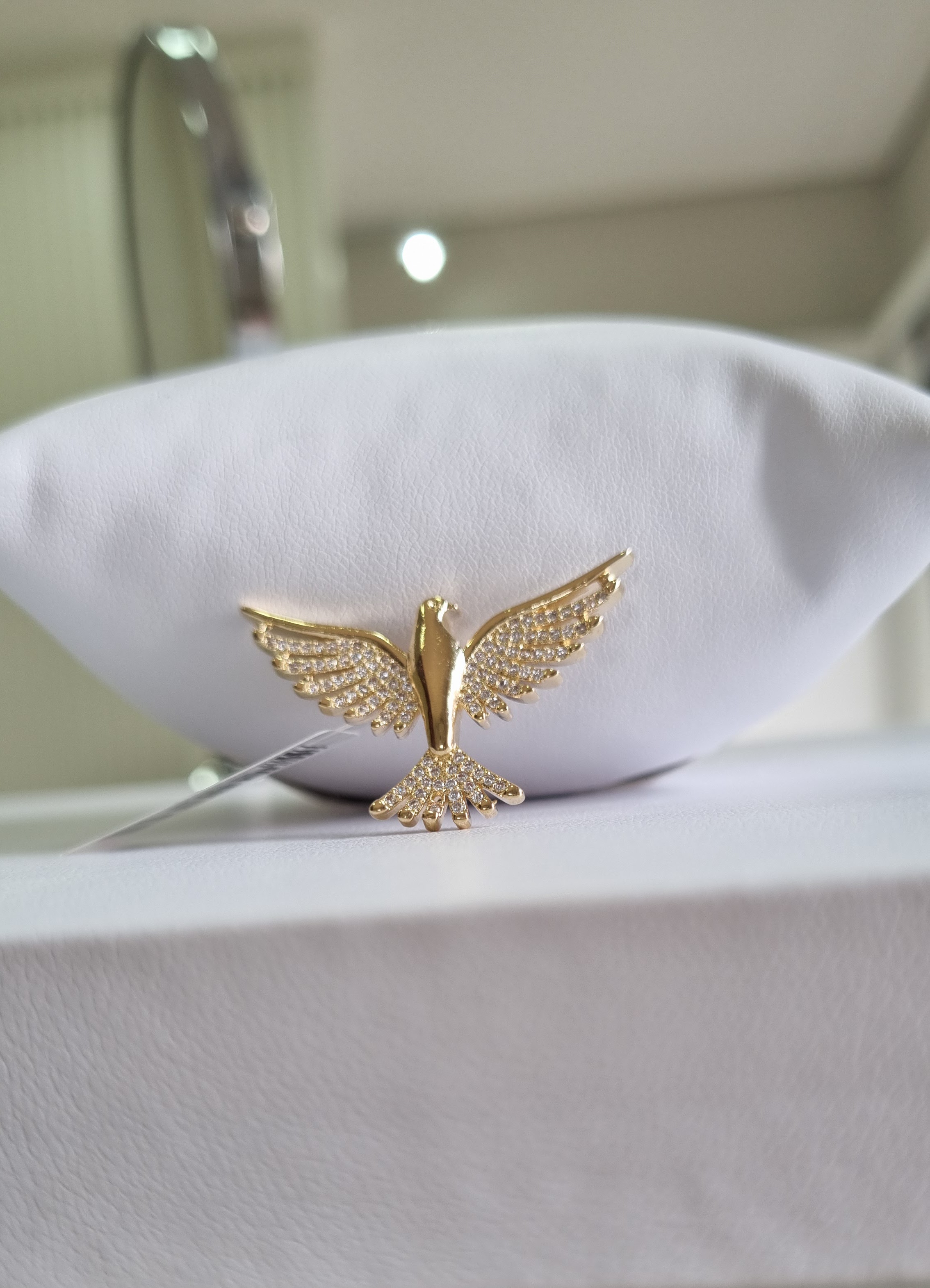 Pomba Espirito Santo