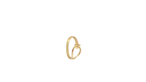 Anel Dourado