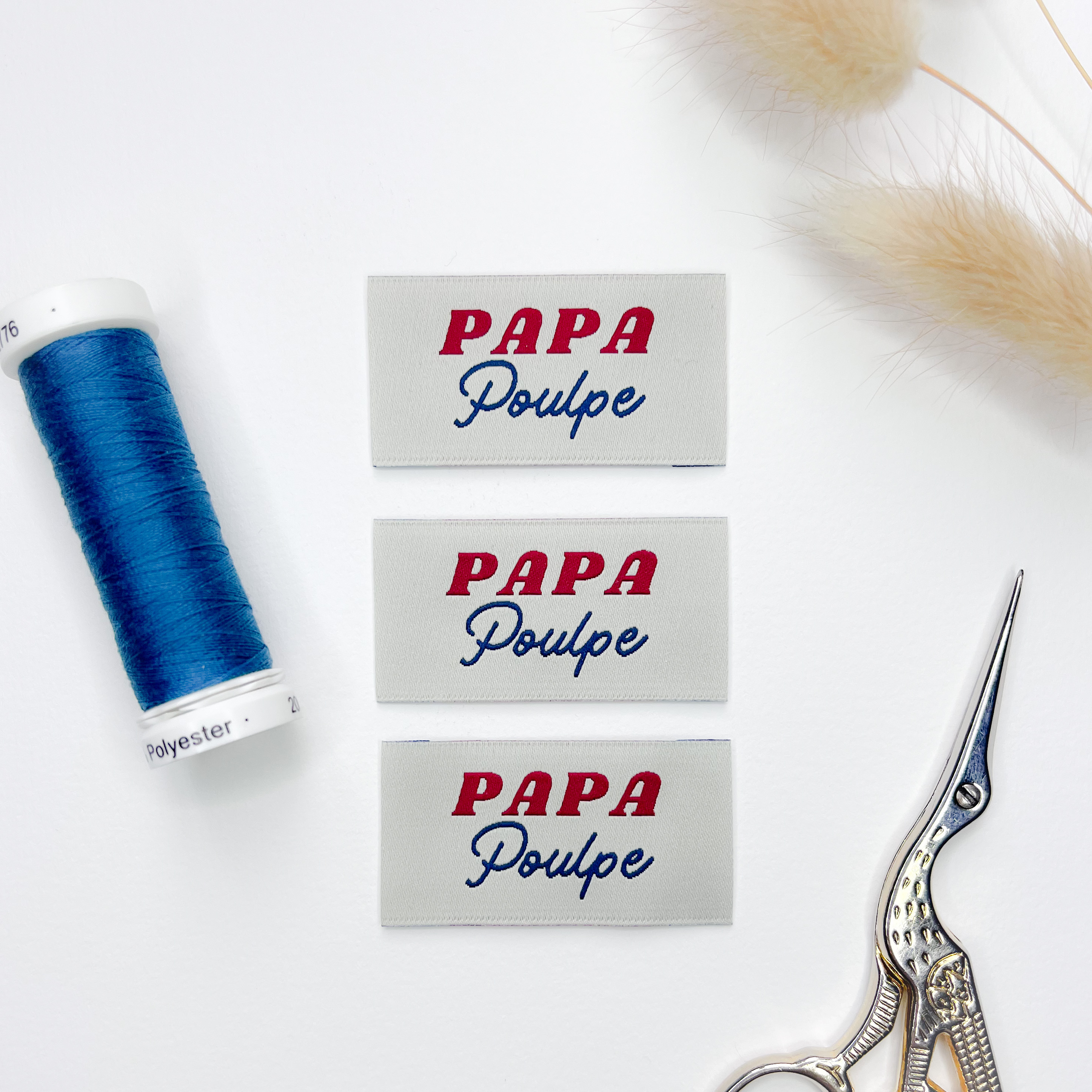 Mini-série "Octopus Dad"