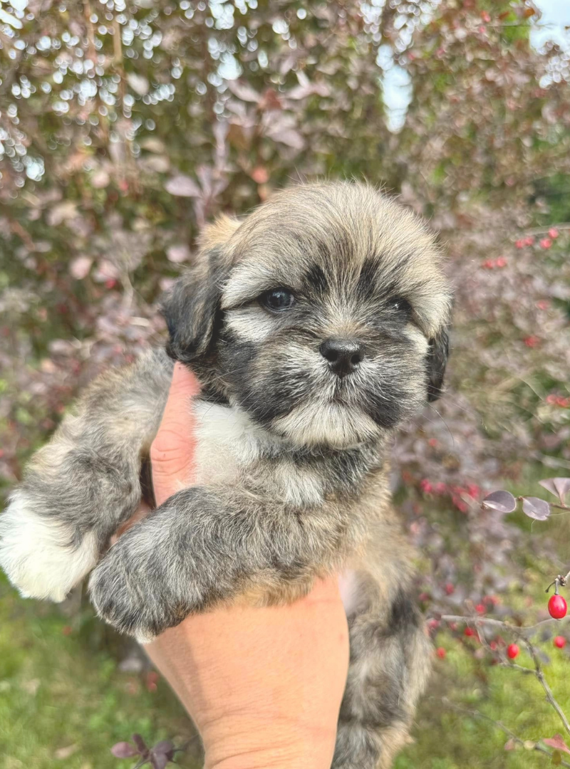 2026-01-12 20:40 Joga su Lasos Apsais | Kaunas