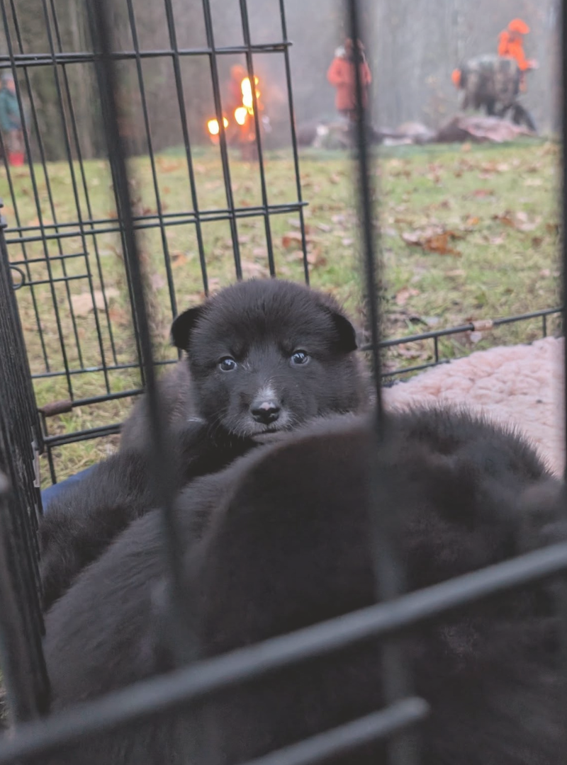 2025-12-14 12:00 Joga su rusų Europinės laikos | Kaunas