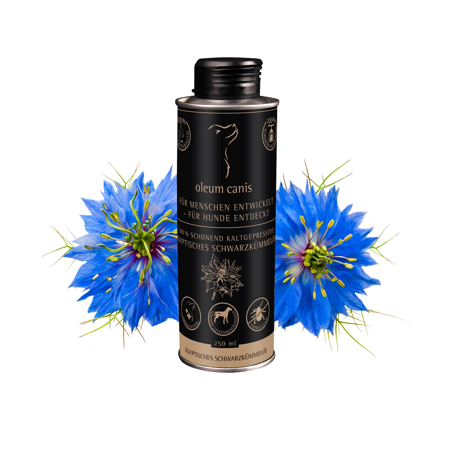 Juodųjų kmynų aliejus / Oleum canis black seed oil