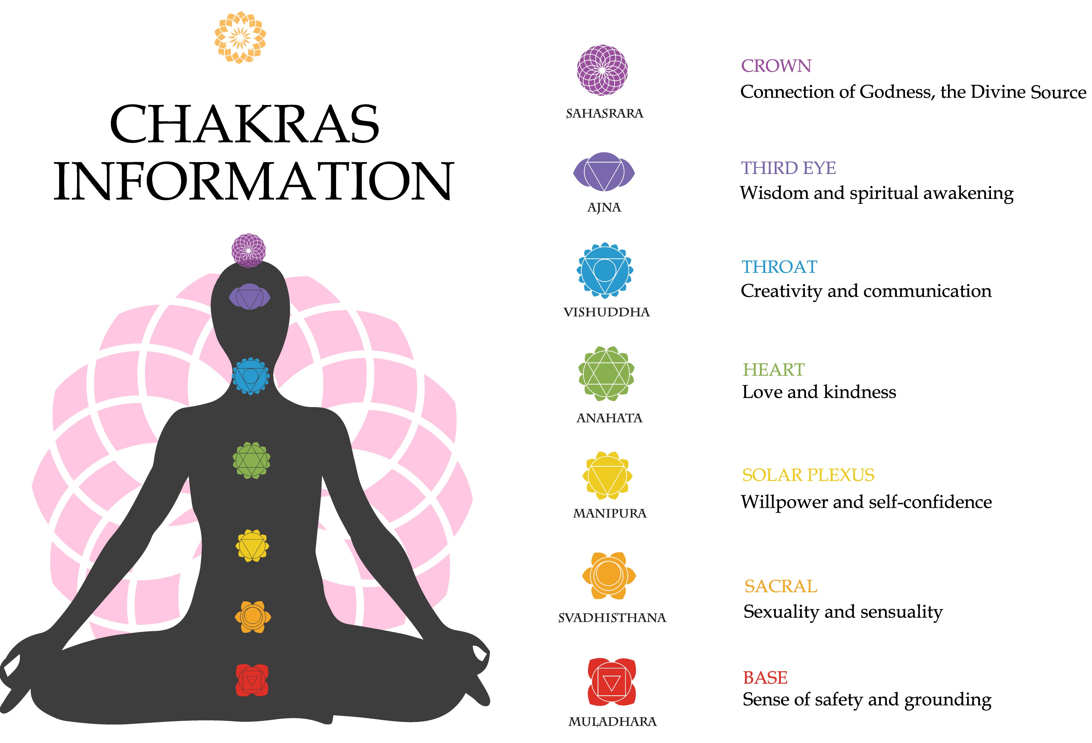 Yoga Book For Beginners Family (E-book)