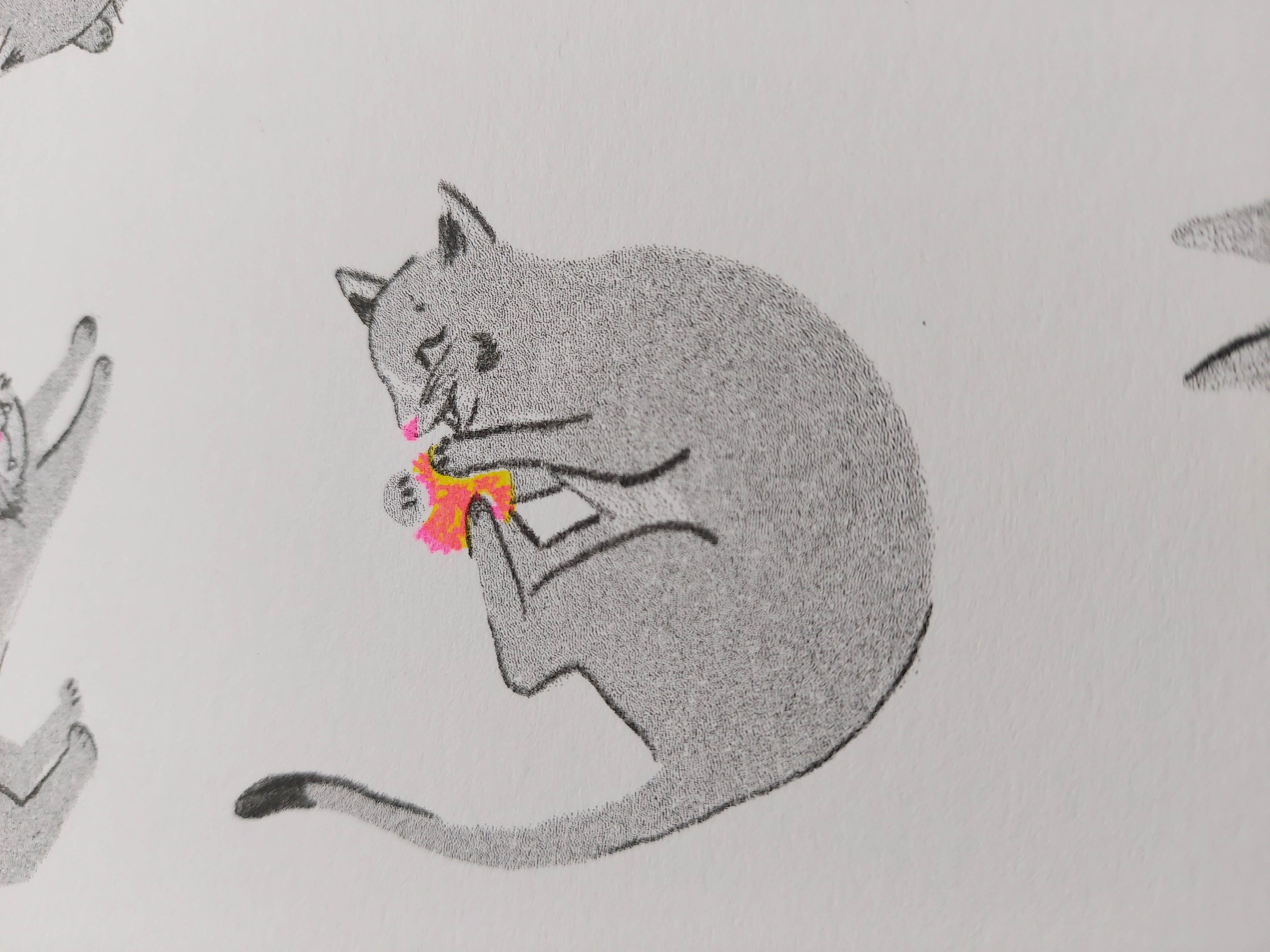 Gatos 101