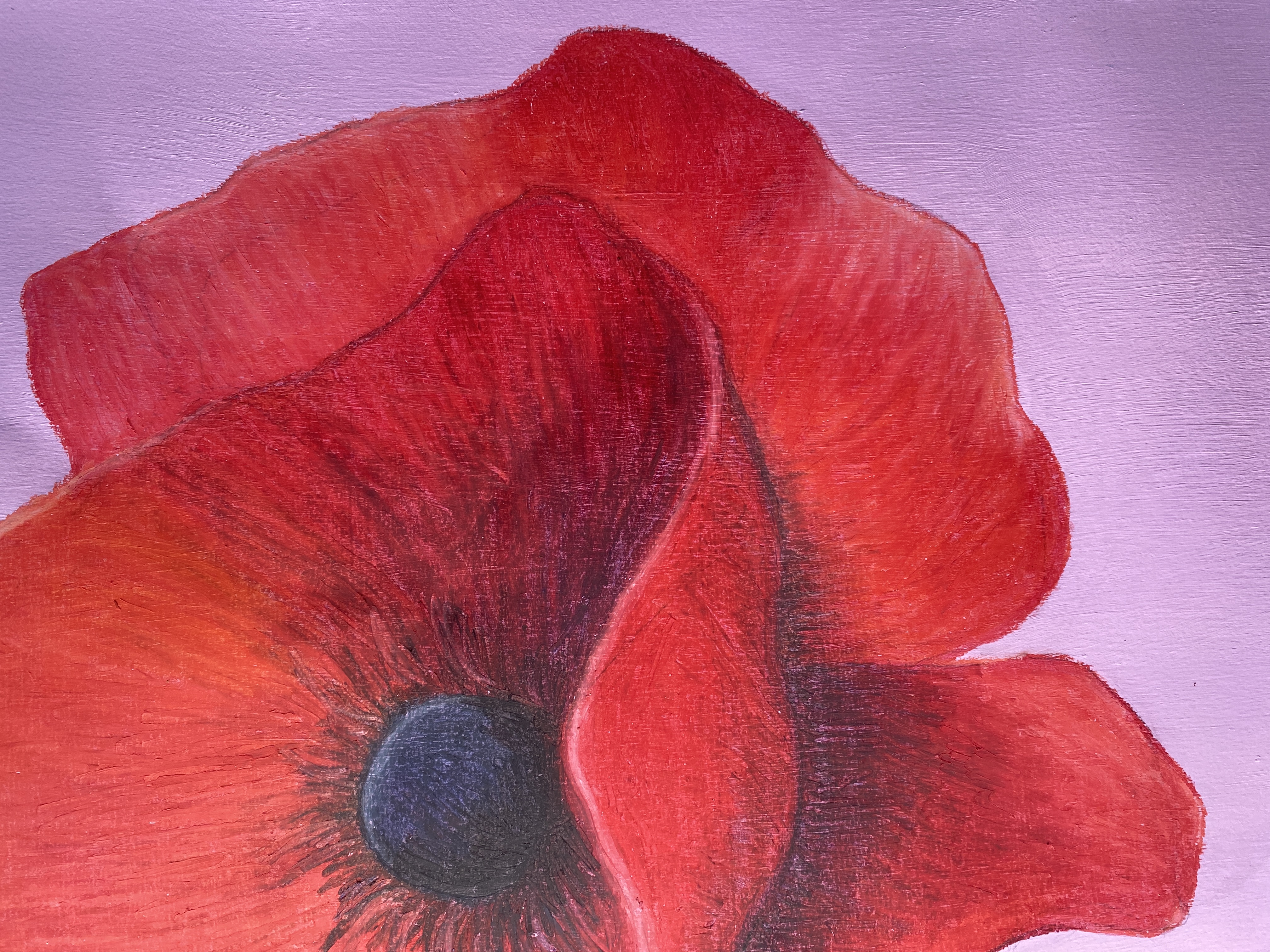 Amapola 1