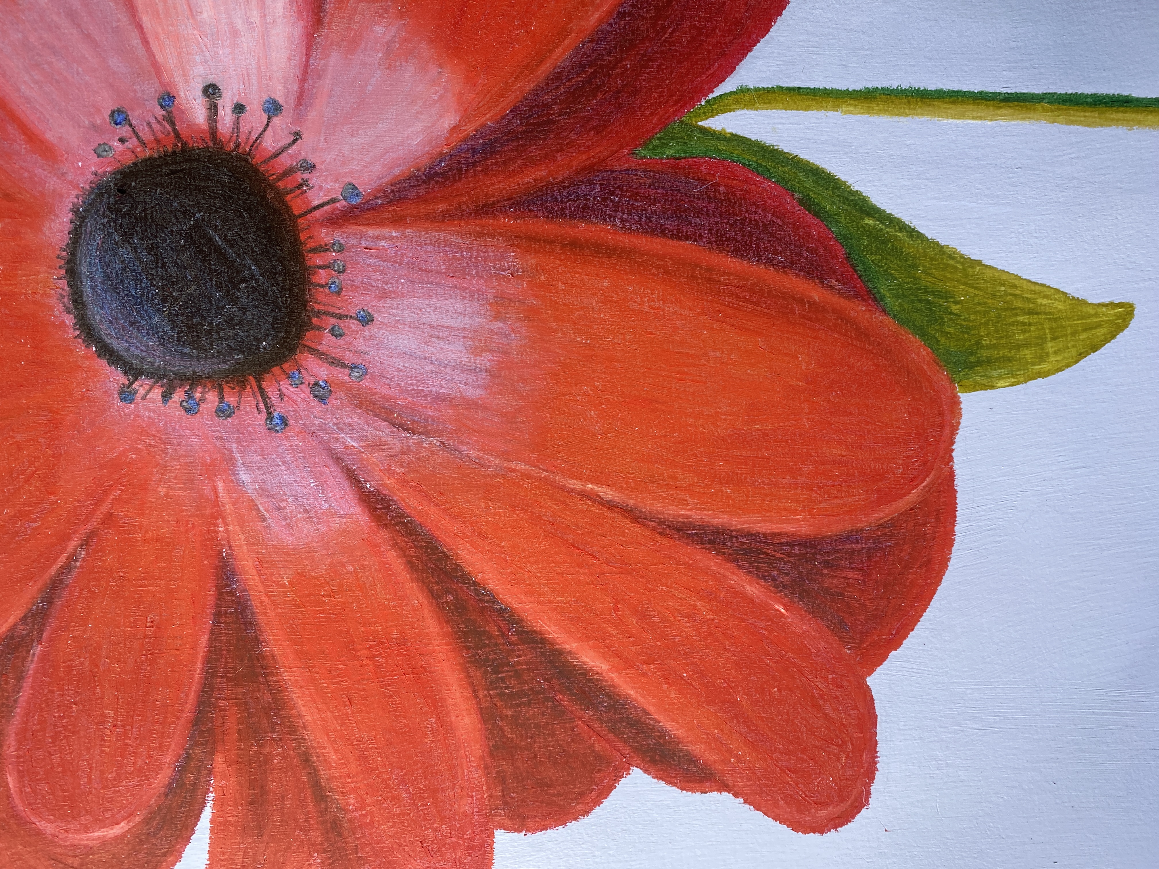 Amapola 2