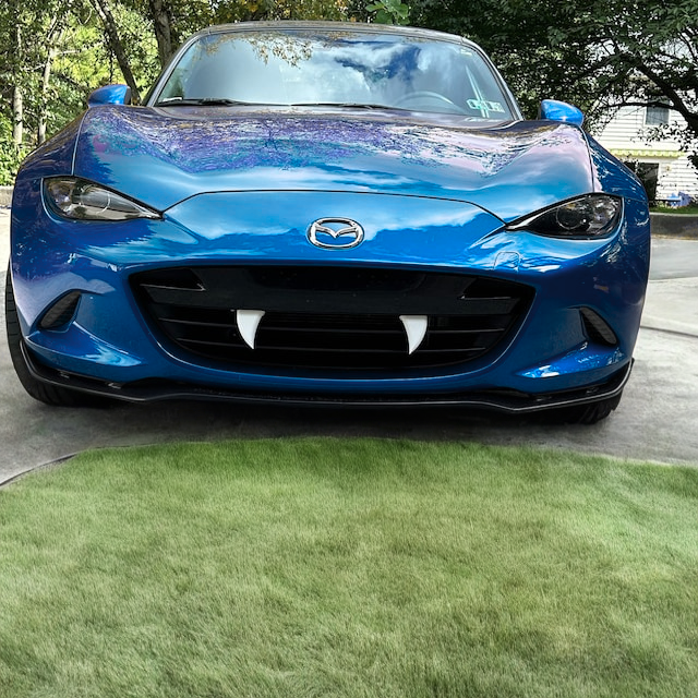 Dents de vampire pour voiture Halloween