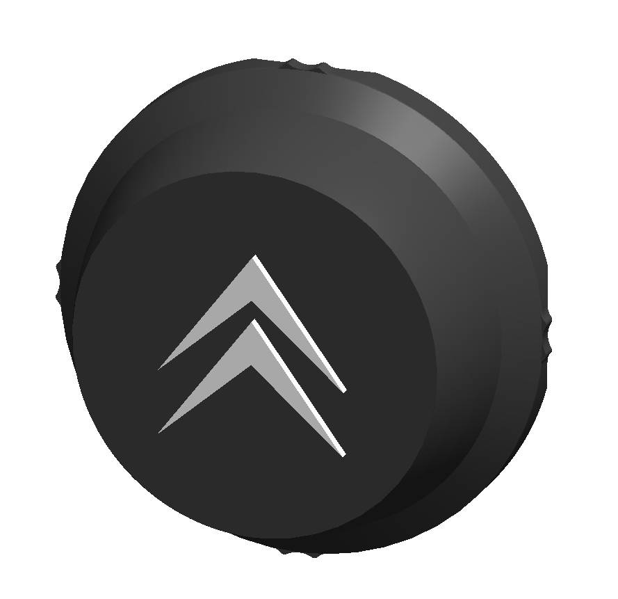 Lot de 4 caches moyeux / centre de roue Citroën Fabriqué en France