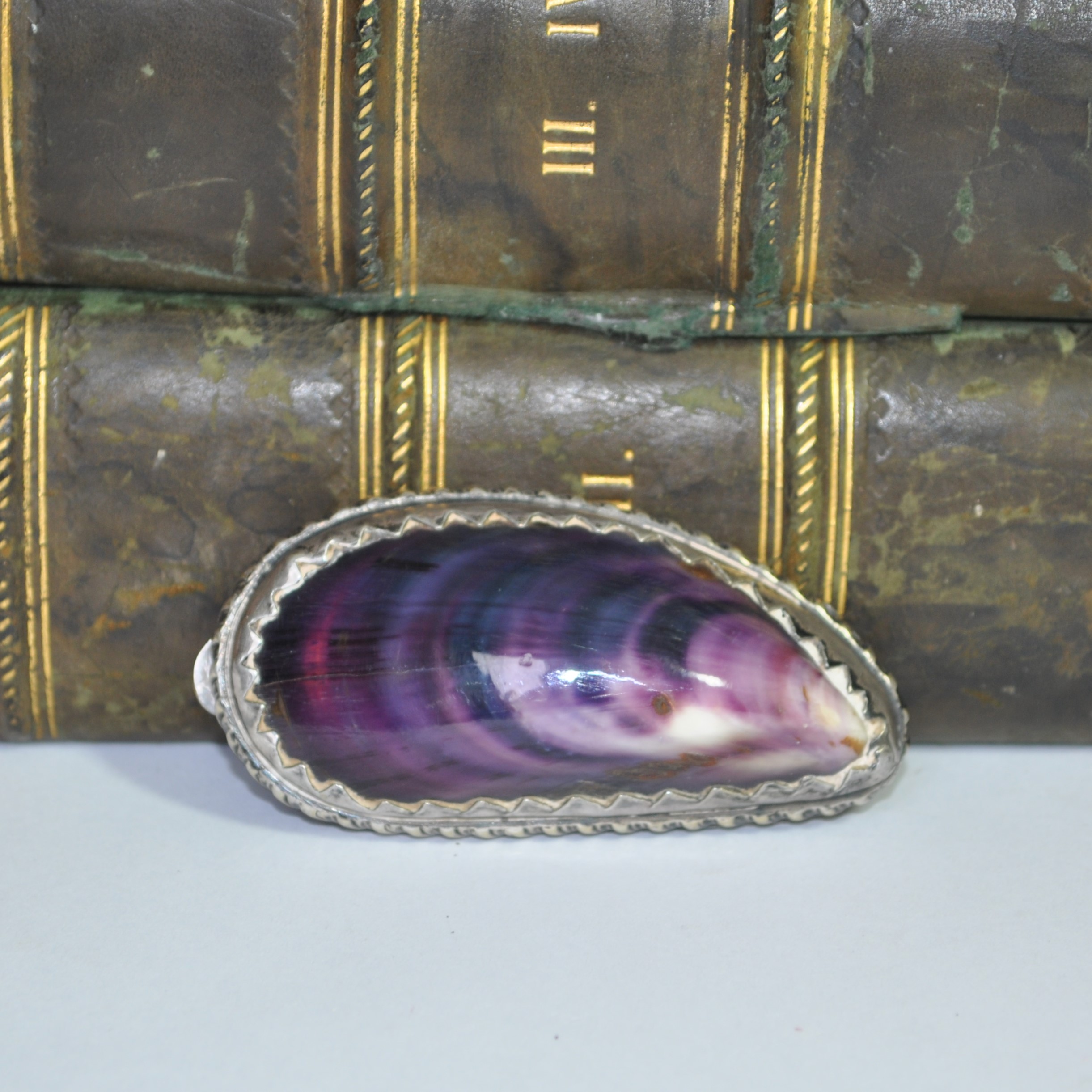 Antique Silver Mussel Snuff Box