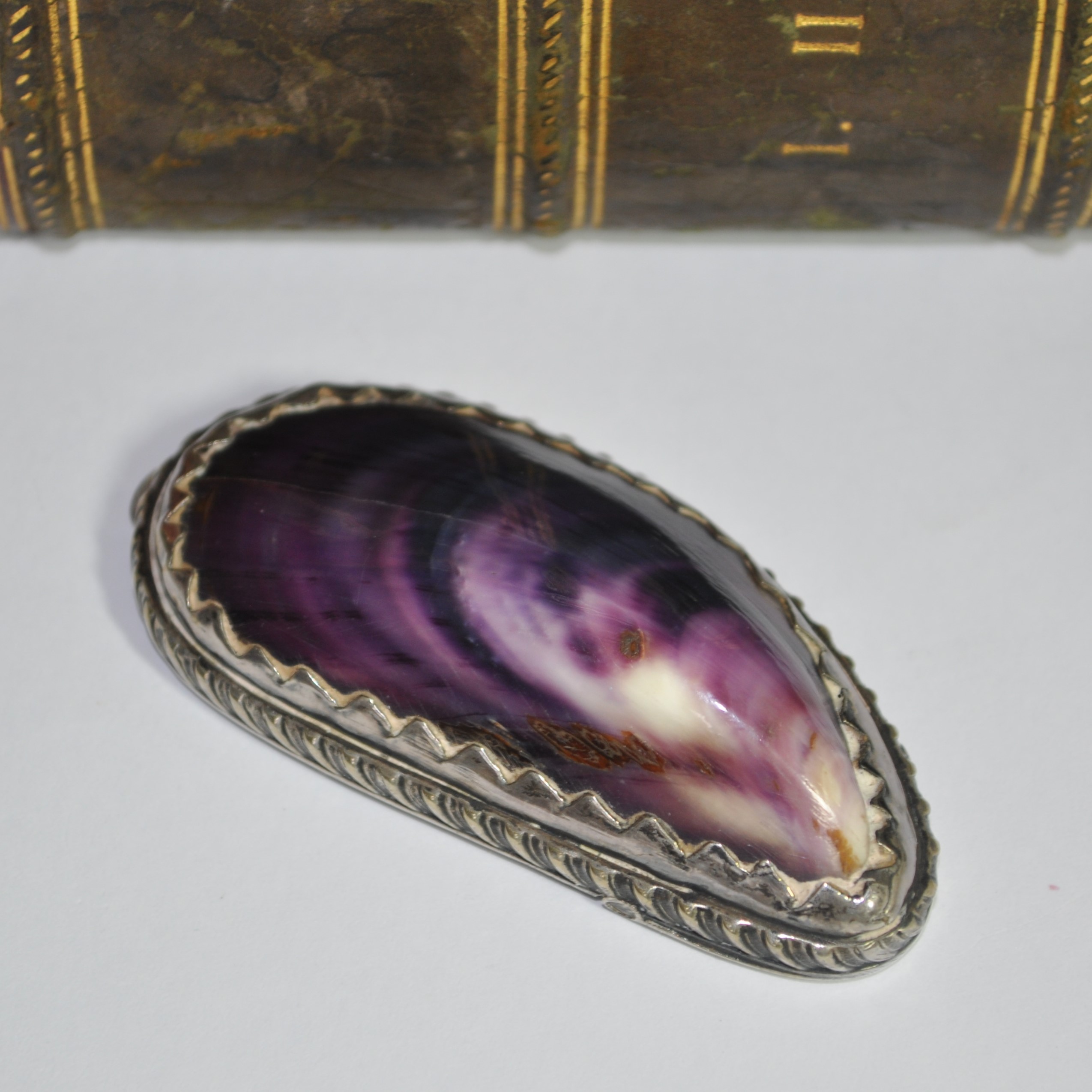 Antique Silver Mussel Snuff Box