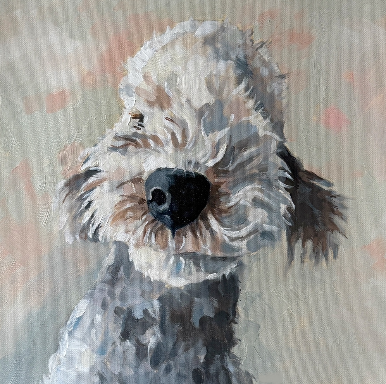 One Pet Portrait