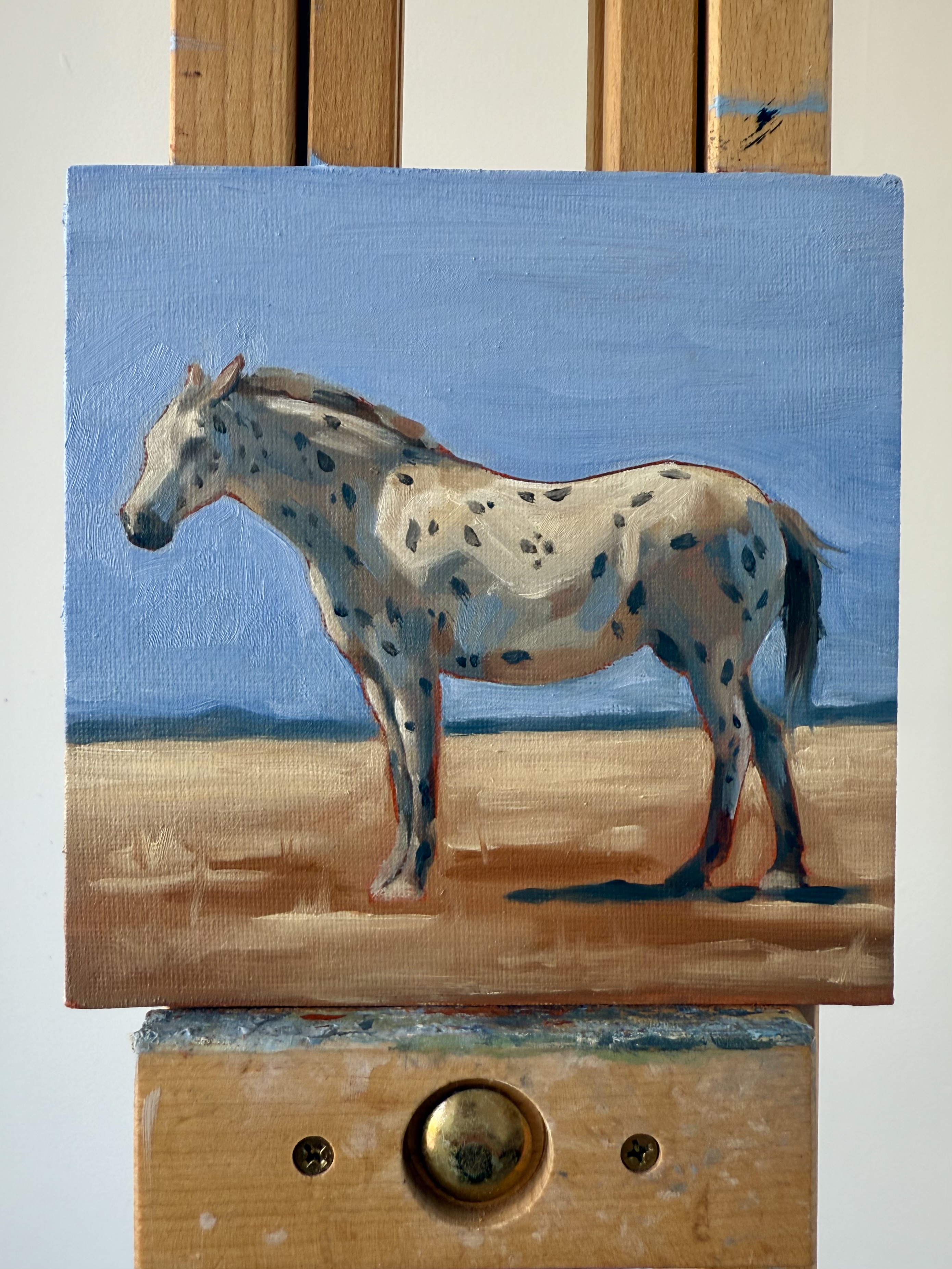 Appaloosa 
