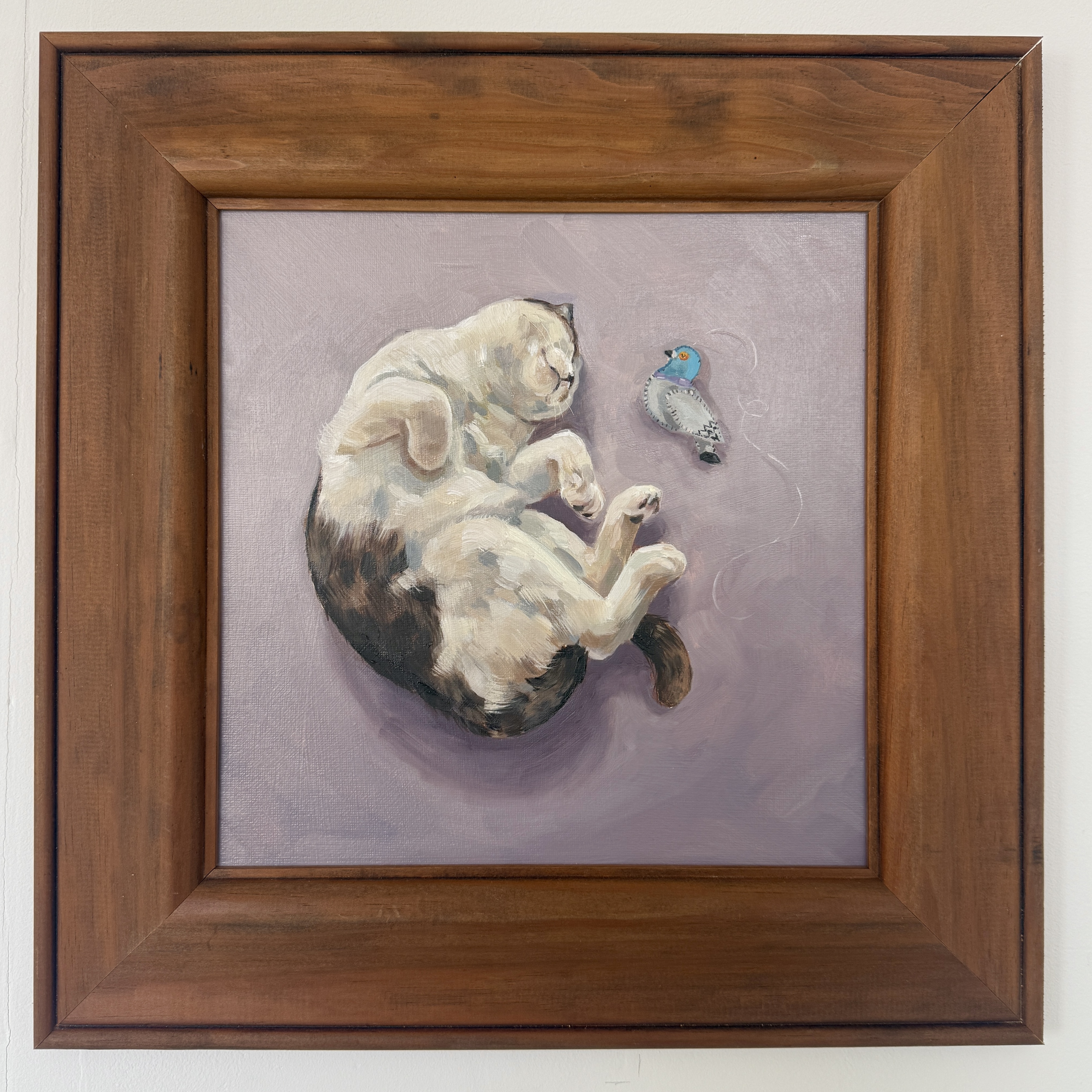 One Pet Portrait