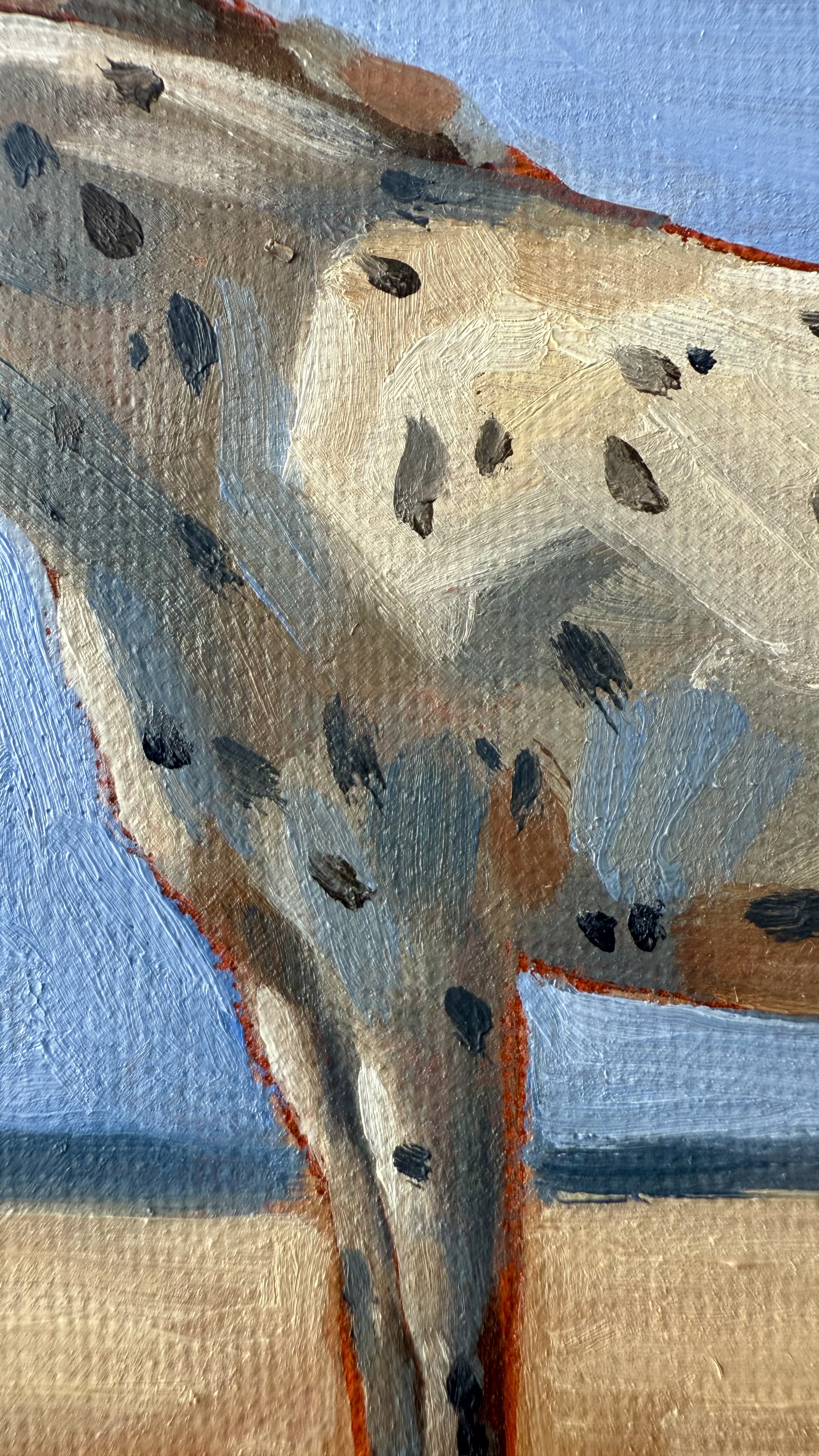 Appaloosa 