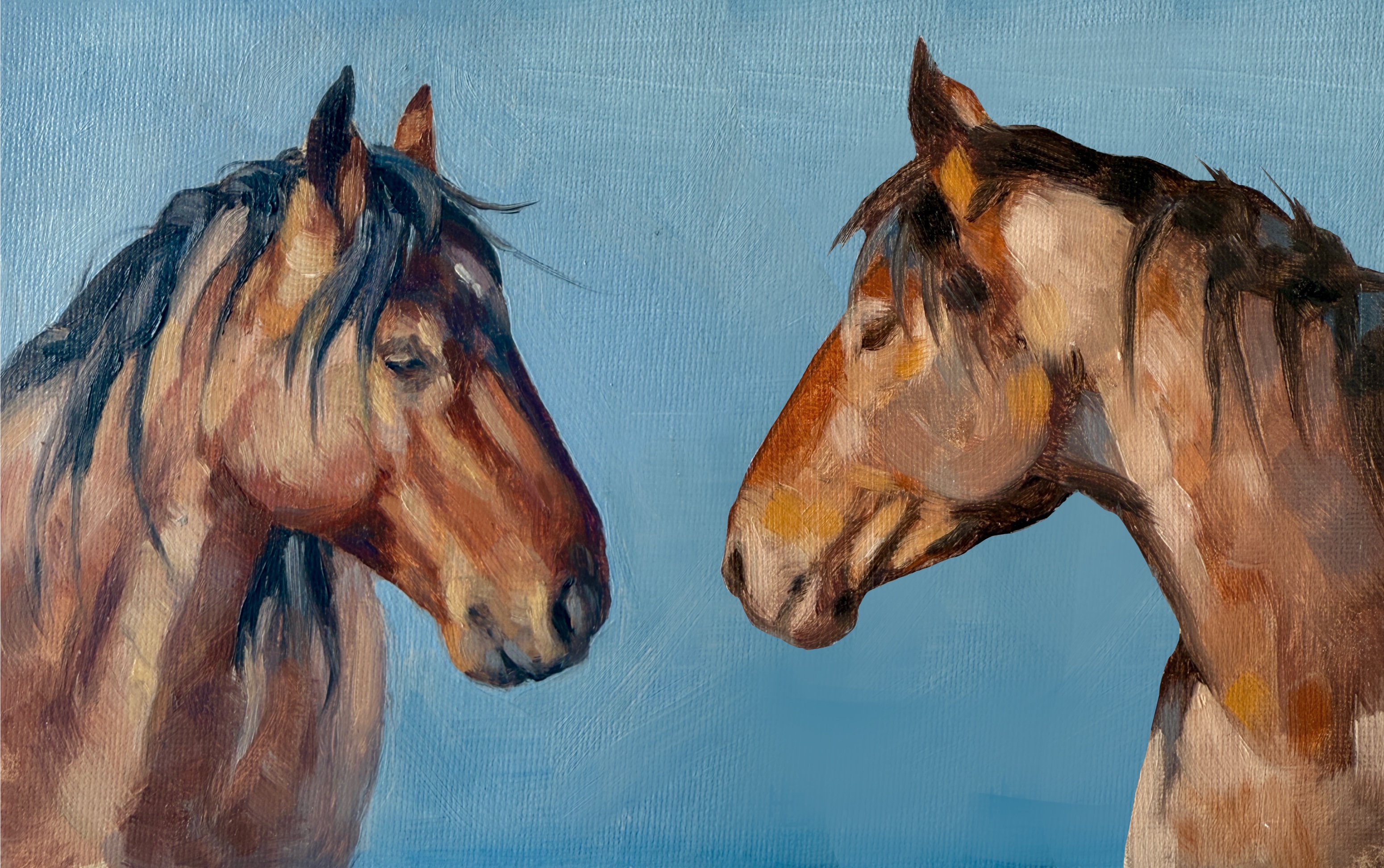 Two Pet Portraits
