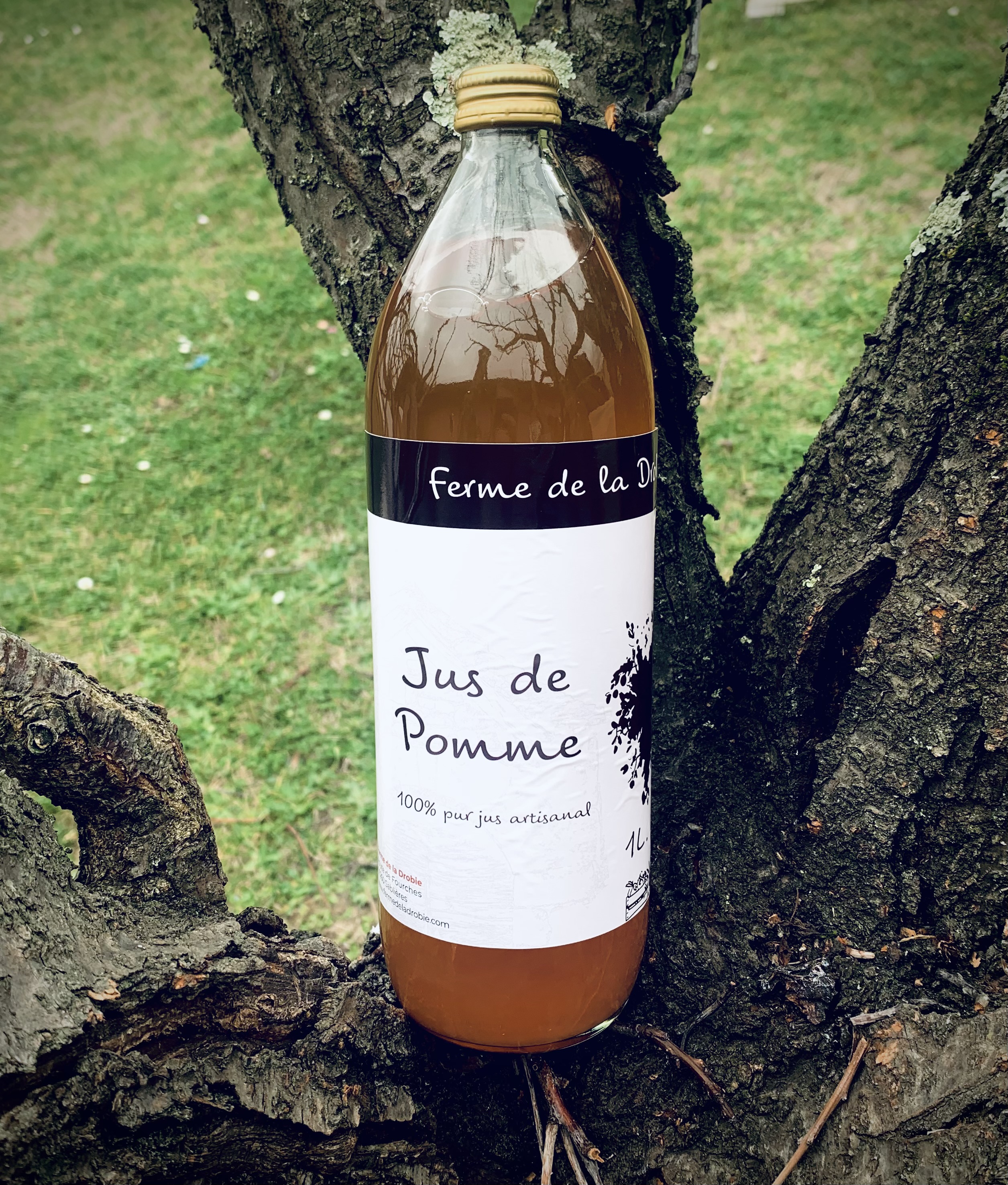 Jus de pomme 1L (clic and collect)