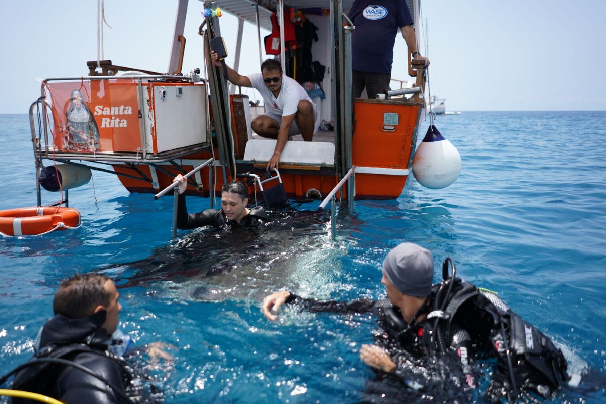 Tour en barco accesible con avistamiento de cetáceos