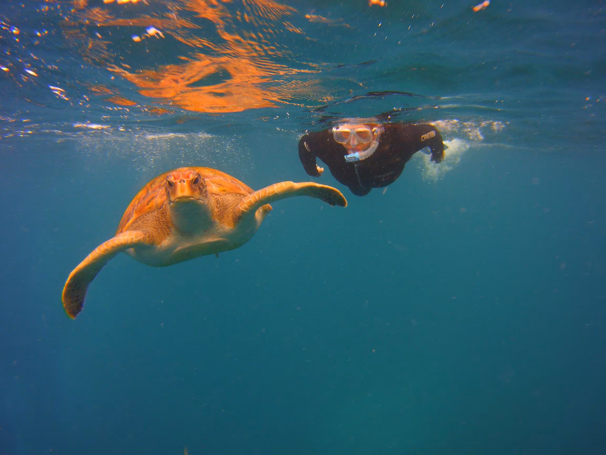 Snorkel y Submarinismo Adaptado