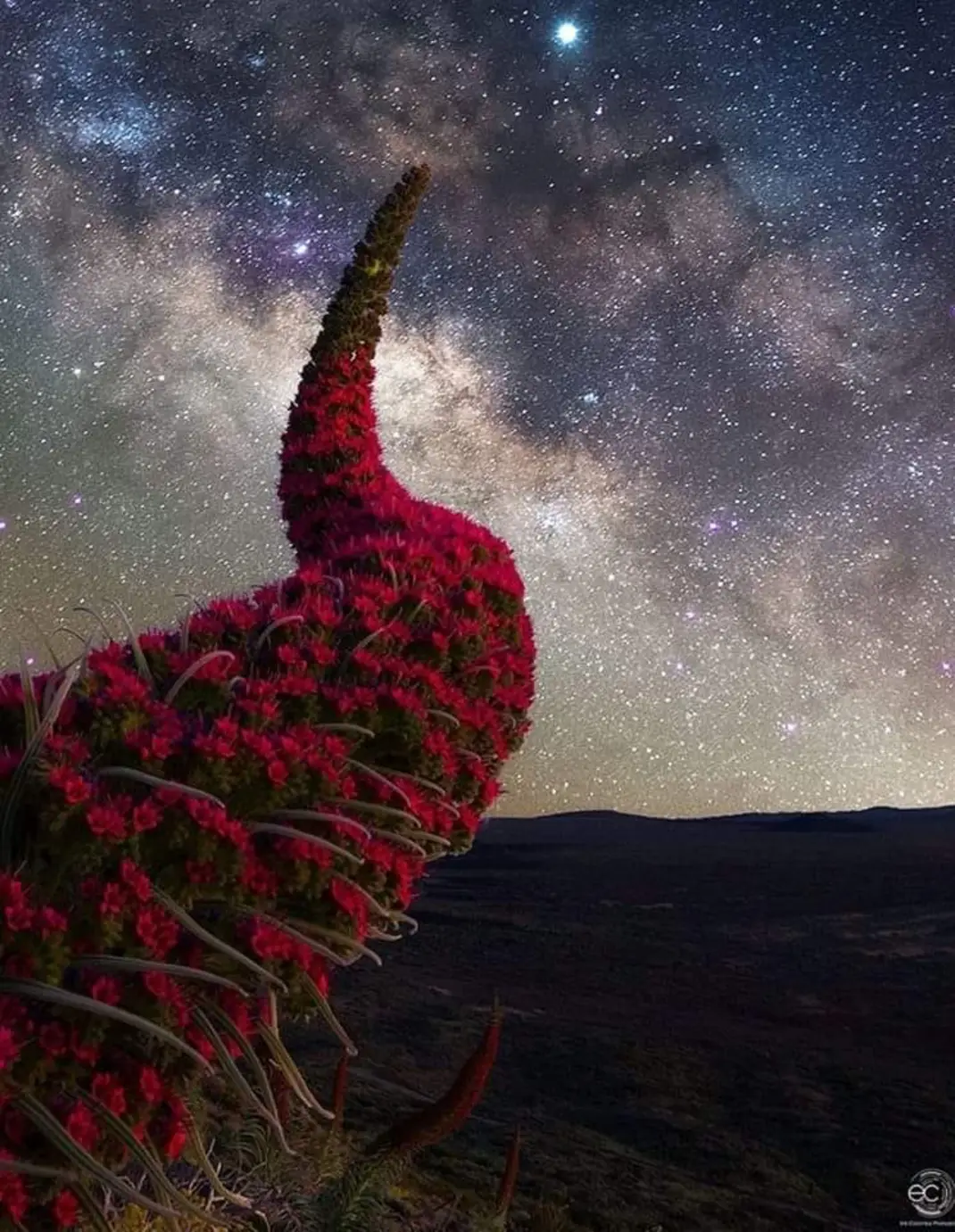 Tenerife: Puesta de Sol y Observación de Estrellas en el Teide