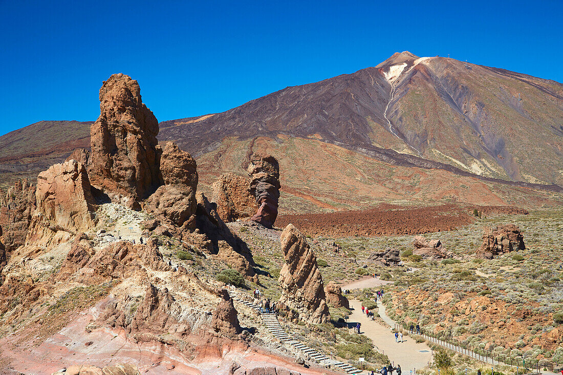 Tour privada al Parque Nacional del Teide