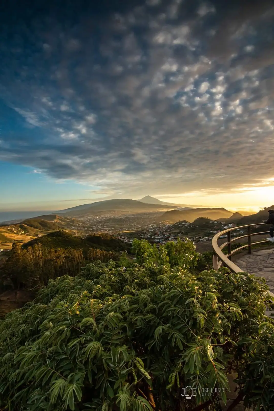 Tour Privado: Los Gigantes + Teide