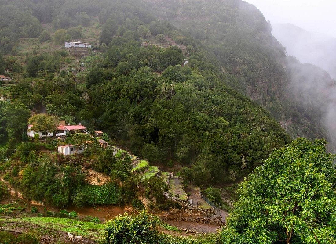 Tour Guiado de Día Completo a La Gomera desde Tenerife